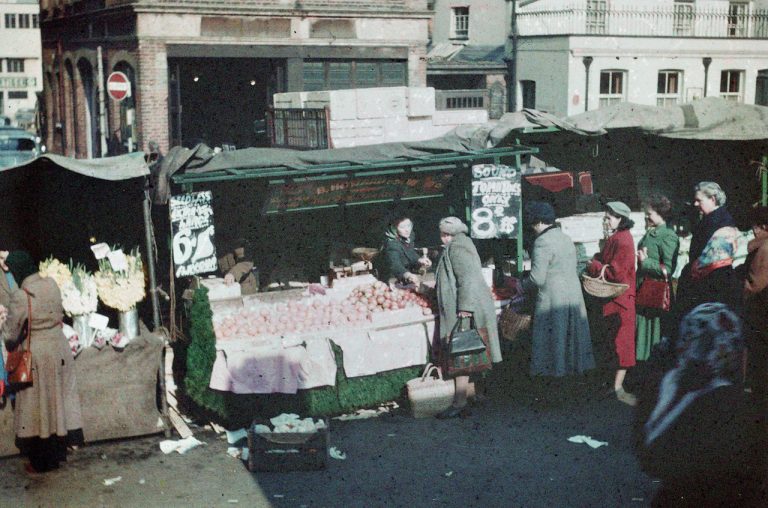 Vintage 1950s Photos