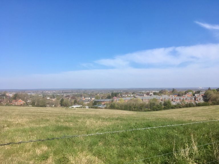 Pewley Down Fields Saved